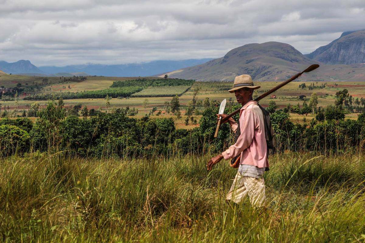 Un homme marche dans les herbes hautes, une bêche sur l'épaule